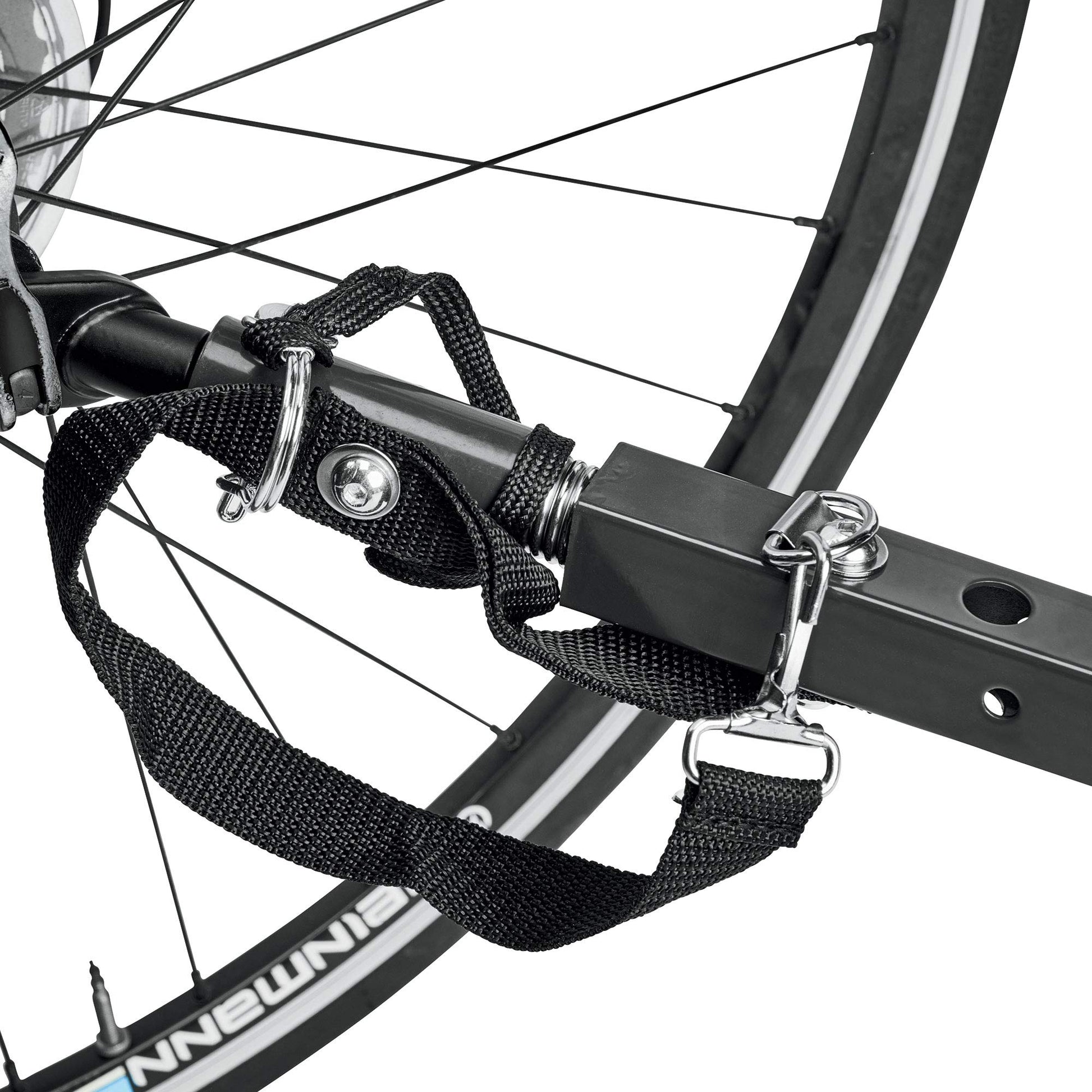 Allen Sports Deluxe Steel Child Trailer 2