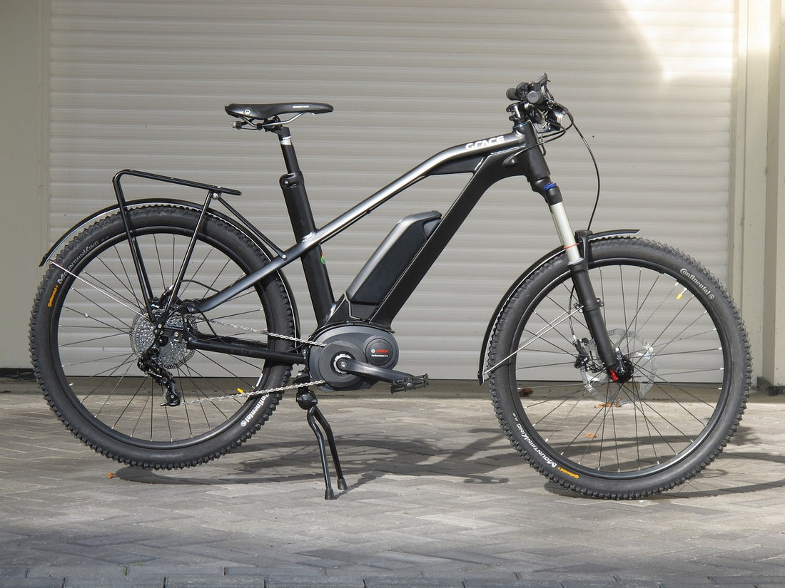 The Ultimate Guide to Choosing the Perfect Electric Bicycle