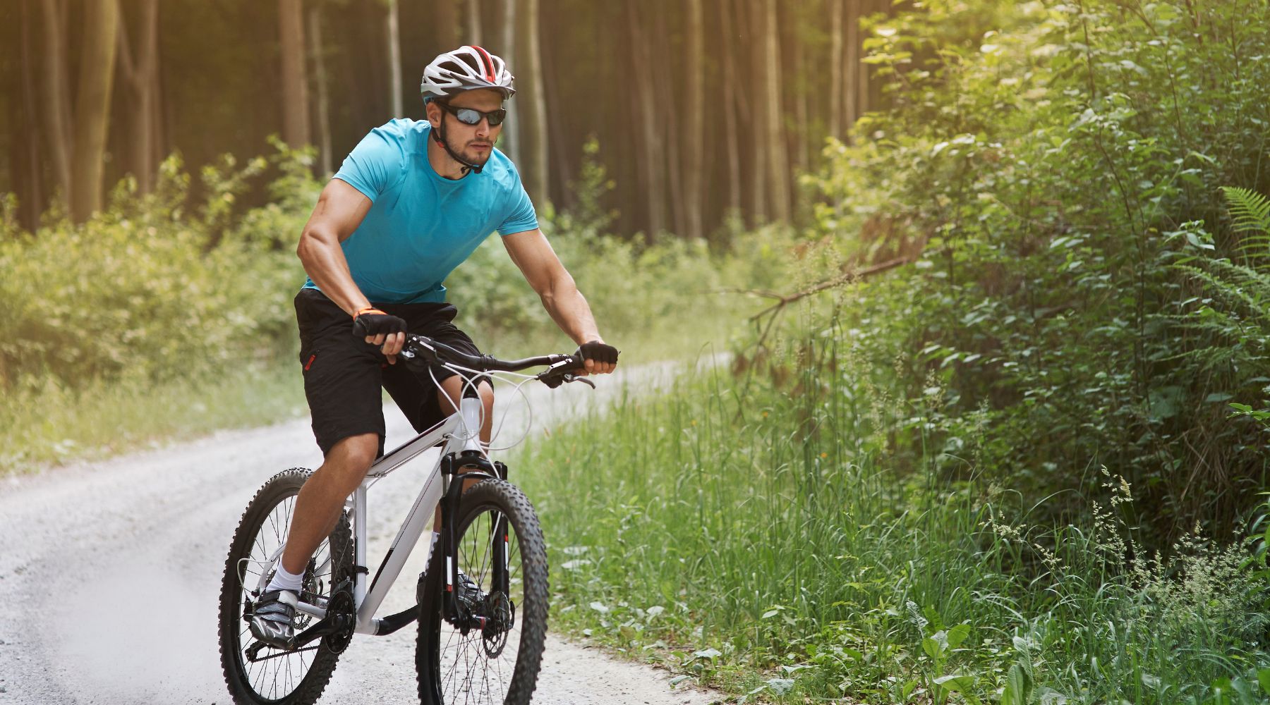 What Muscles Does Bicycle Riding Work: Unveiling the Fitness Benefits ...